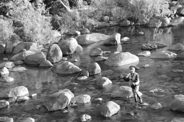 Yosemite National Park