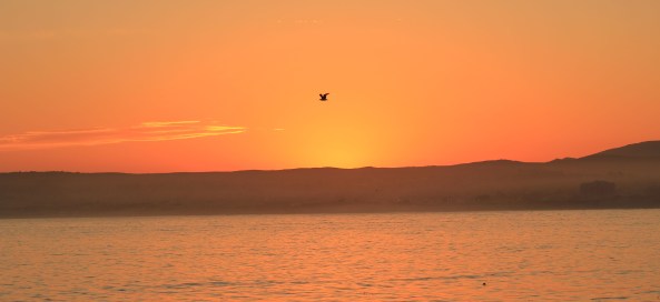 Monterey Bay, California