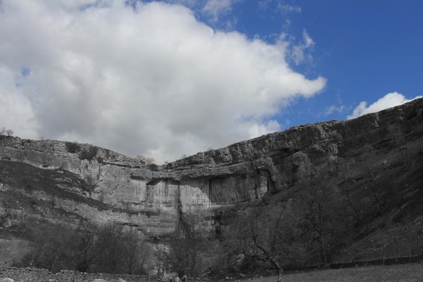 Malham Cove, Yorkshire Dales, Yorkshire, Nature