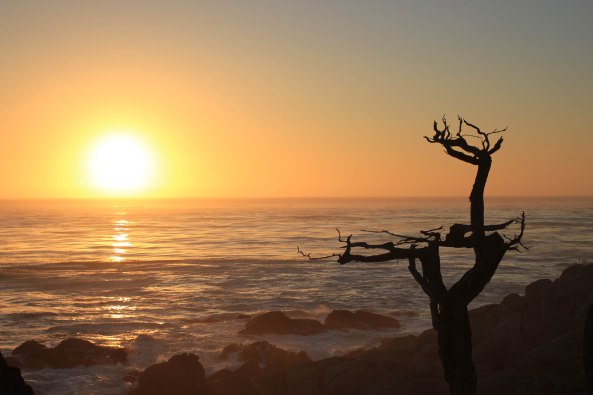 Sunset, California, 17 Mile Drive, Photography