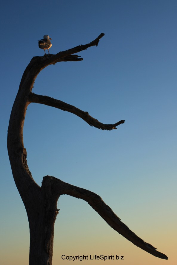 Sunset, Nature, Photography, Mark Conway, Life Spirit 