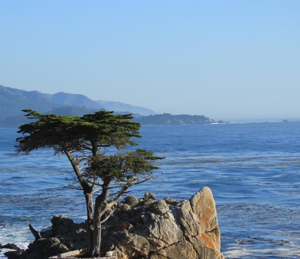 17 Mile Drive, California, Landscapes, Photography