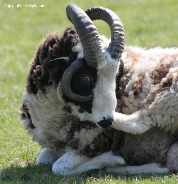 Put my foot in it again!