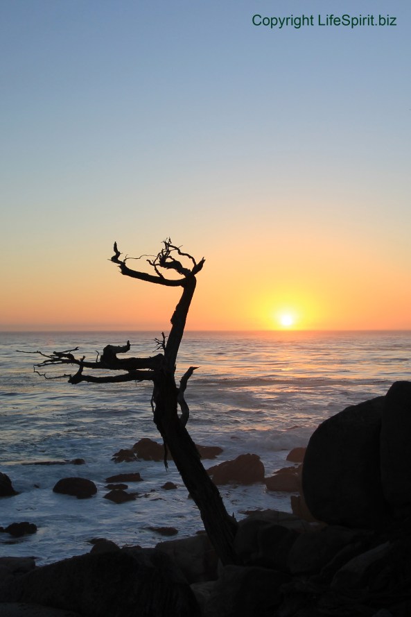 17 Mile Drive, Sunset, California, Monterey, Life Spirit, Mark Conway