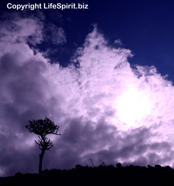 Life Spirit, Landscapes, Mark Conway, Life Spirit, Gran Canaria