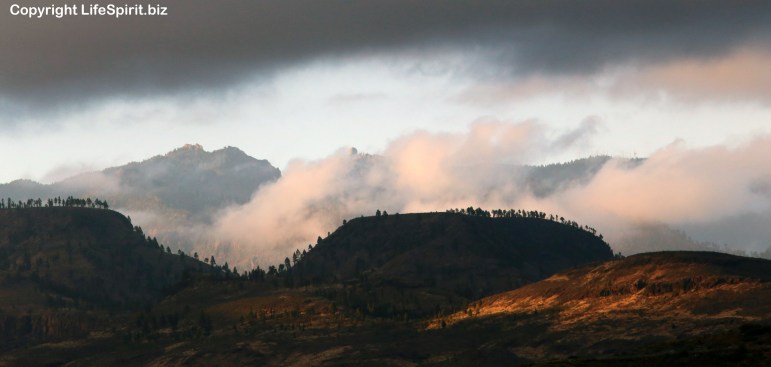 Gran Canaria, Landscape, Nature, Photography, Mark Conway, Life Spirit