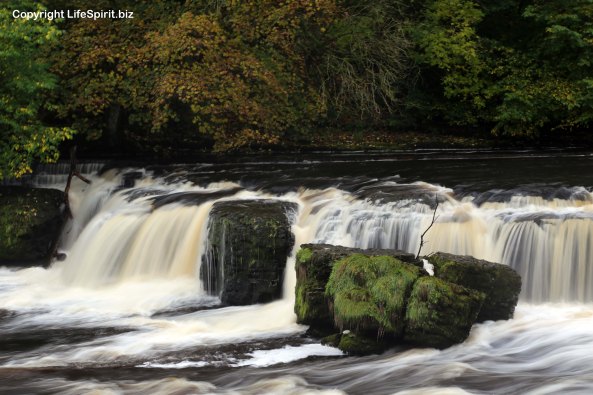 Aysgarth Falls, Yorkshire Dales, River Ure, Mark Conway, Nature, Landscape, Life Spirit