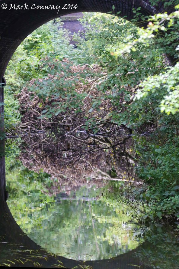 Landscape, South Yorkshire, Nature, Photography, Mark Conway, Life Spirit, Potteric Carr
