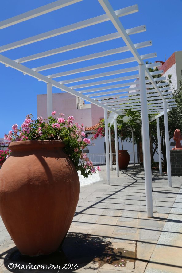 Gran Canaria, Flowers, Landscape, Nature, Photography, Mark Conway, Life Spirit