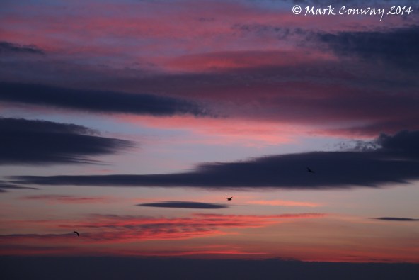 Abersoch, Llyn Peninsula, Wales, Sunrise, Nature, Photography, Mark Conway, Life Spirit