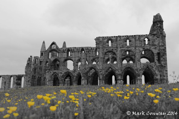 Whitby Abbey, North Yorkshire, Landscape, Architecture, Photography, Mark Conway, Life Spirit