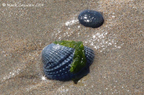 Absersoch, Llyn Peninsula, Wales. Nature, Beach, Photography, Mark Conway, Life Spirit