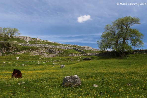 Yorkshire Dales National Park, Landscape, Mark Conway, Nature, Life Spirit