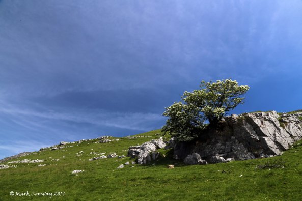 Landscape, Yorkshire Dales, Ingleton, Nature, Photography, Mark Conway, Life Spirit